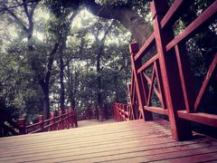 -紫金山山顶公园