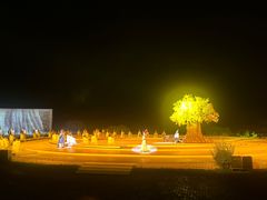 -鼎盛王朝康熙大典实景演出