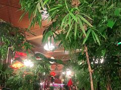 -大鹅岛绿色生态美食园