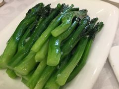 -金蝉食府(维吉奥广场店)