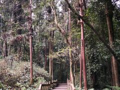-凤栖山
