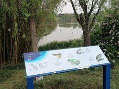 -白鹭湾湿地公园