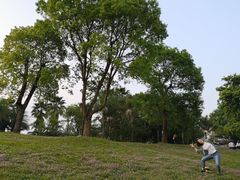 -福建鲤鱼洲酒店