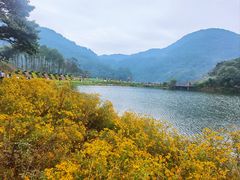 -广州市石门国家森林公园