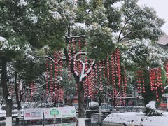 -常州古运河南大街文化旅游区-人民公园