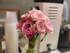 -Again Coffee Roaster(香蜜湖店)