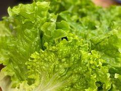 -枣玛尔脊骨汤·烤肉(西塔总店)