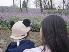 -盛世牡丹苑生态文化旅游区