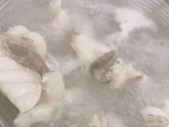 -源港渔村-中山脆肉鲩(博罗店)