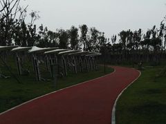 -天津东丽湖风景区