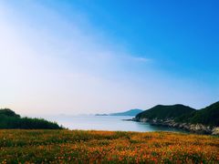 -东海半边山旅游度假区