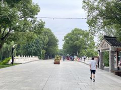 -溱湖国家湿地公园