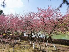 -白塘生态植物园