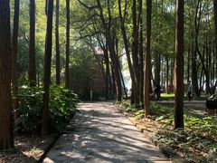 -东湖落雁景区