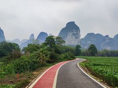 -明仕田园