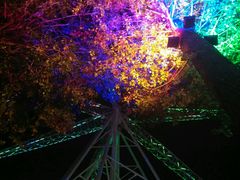 -哈尔滨文化公园