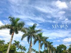 -八婆婆烧仙草(中山路店)