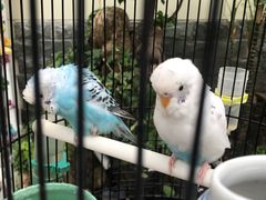 -丽江庭院之丽江往事(安定门店)