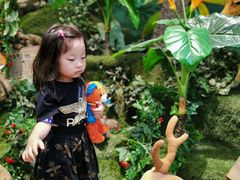 -济州岛泰迪熊博物馆