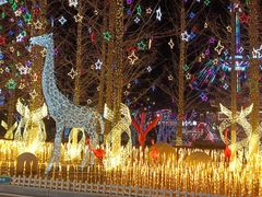 -大连森林动物园