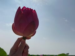 -洪泽湖古堰景区
