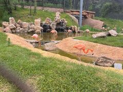 -沈阳森林动物园