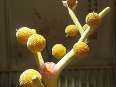 -锦上中式酒馆(南内环店)