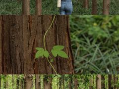 -河南省黄河迎宾馆