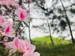 -烈士陵园(地铁站)