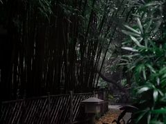 -广州兰圃