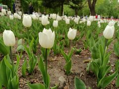 -长春公园(普阳街道)