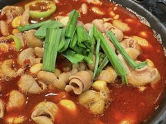 招牌肥肠火锅-湘肠香火锅店(团结湖店)
