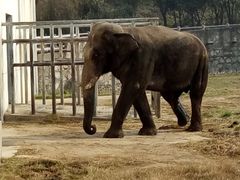 -西安秦岭野生动物园