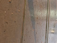 第三海水浴场-青岛第三海水浴场