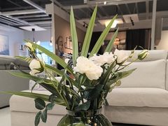 -宜家家居(哈尔滨商场店)