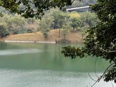 -九岭农庄·竹筒饭