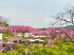 -桃源山庄·水蜜桃采摘·柴火鸡·烧烤团建(龙泉山店)
