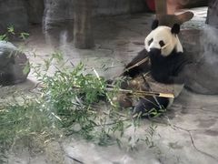 -宁波野生动物园