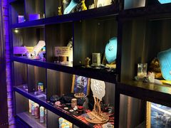 -雪灵魔法世界SHELLY’S TAROT(大良桂畔里店)