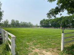 -北京群众马术培训基地