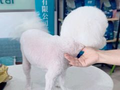 -佳雯宠物医院·皮肤科·内外科(春晓路分院)