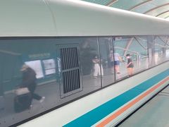 -龙阳路磁悬浮列车总站-停车场