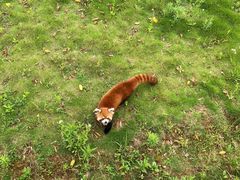 -安徽大青山野生动物世界