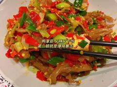 -壹盏灯(惠农店)