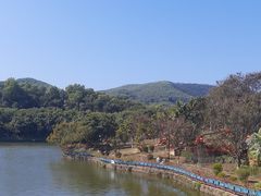 -大屏嶂森林公园