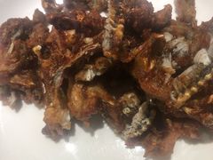 金蟾-大口潮边炉中餐火锅