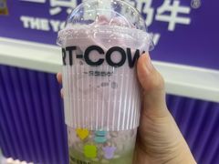 -一只酸奶牛(来福士店)
