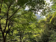 -藏龙百瀑风景区