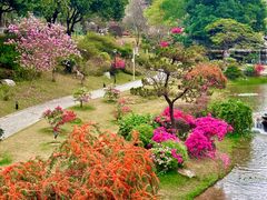 -东莞植物园