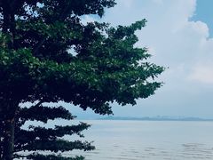 -深圳湾公园(南山区)